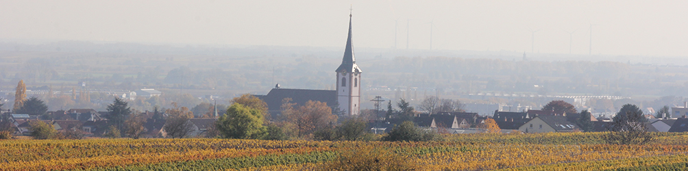 Herzlich Willkommen auf der Seite von Nico Schenk. Südliche Weinstraße Maikammer Kirche im Herbst