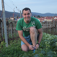 Nico Schenk kniend im Weinberg bindet sich die Laufschuhe